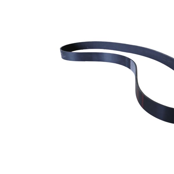 Belt - Image 3