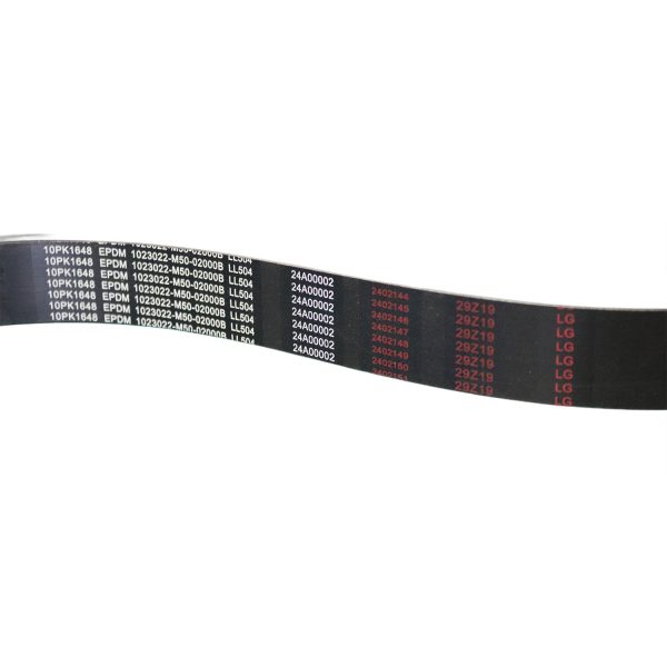 Belt - Image 2